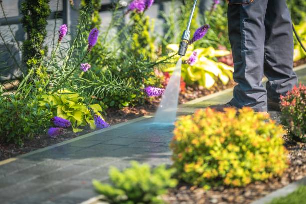  Pennington, NJ Pressure Washing Pros